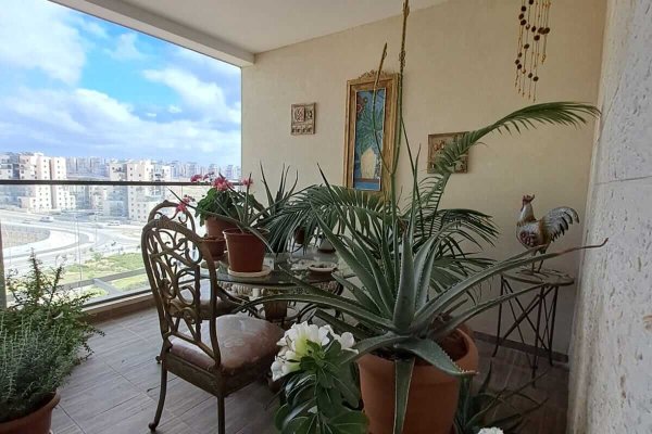 WhatsApp Image 2023-05-22 at 22.46.53